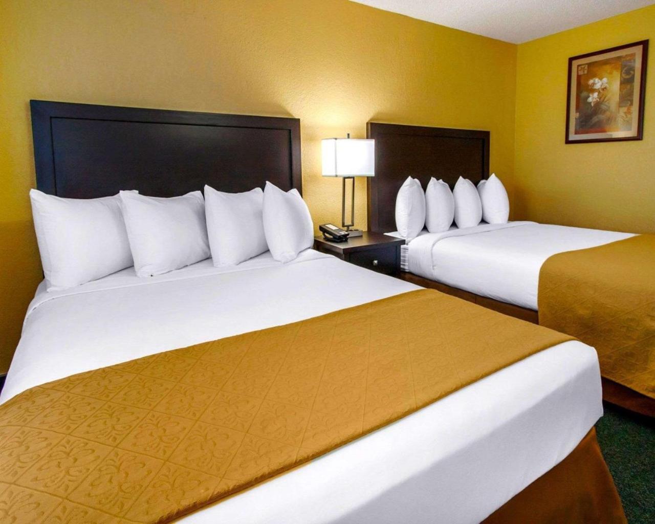 Quality Inn & Suites Springfield Luaran gambar